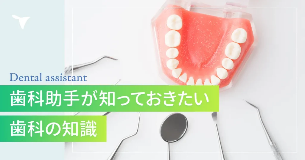 歯科の知識